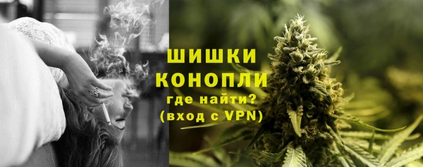 spice Аркадак