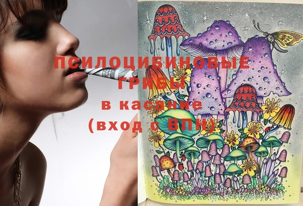 прущие крисы Арсеньев