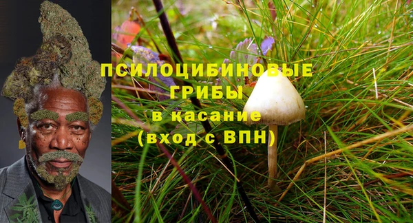 прущие крисы Арсеньев