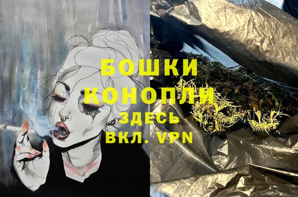spice Аркадак