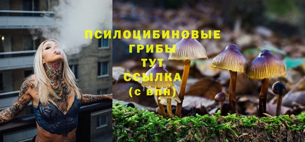 spice Аркадак